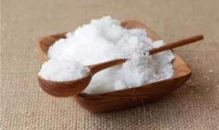 蚊子有多少颗牙齿 蚊子有多少颗牙齿