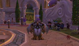 猫德pvp天赋 猫德pvp天赋