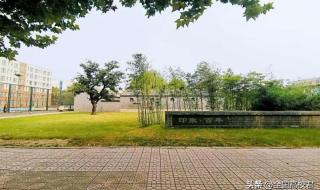 邢台学院专科分数线