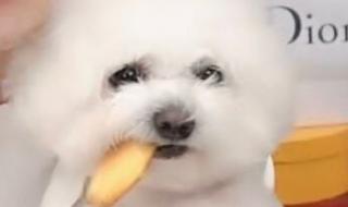 小葵花妈妈课堂 小葵花妈妈课堂