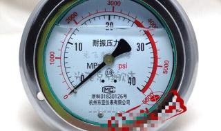 轴向耐震压力表