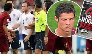 2006世界杯彩绘葡萄牙 2006世界杯彩绘葡萄牙